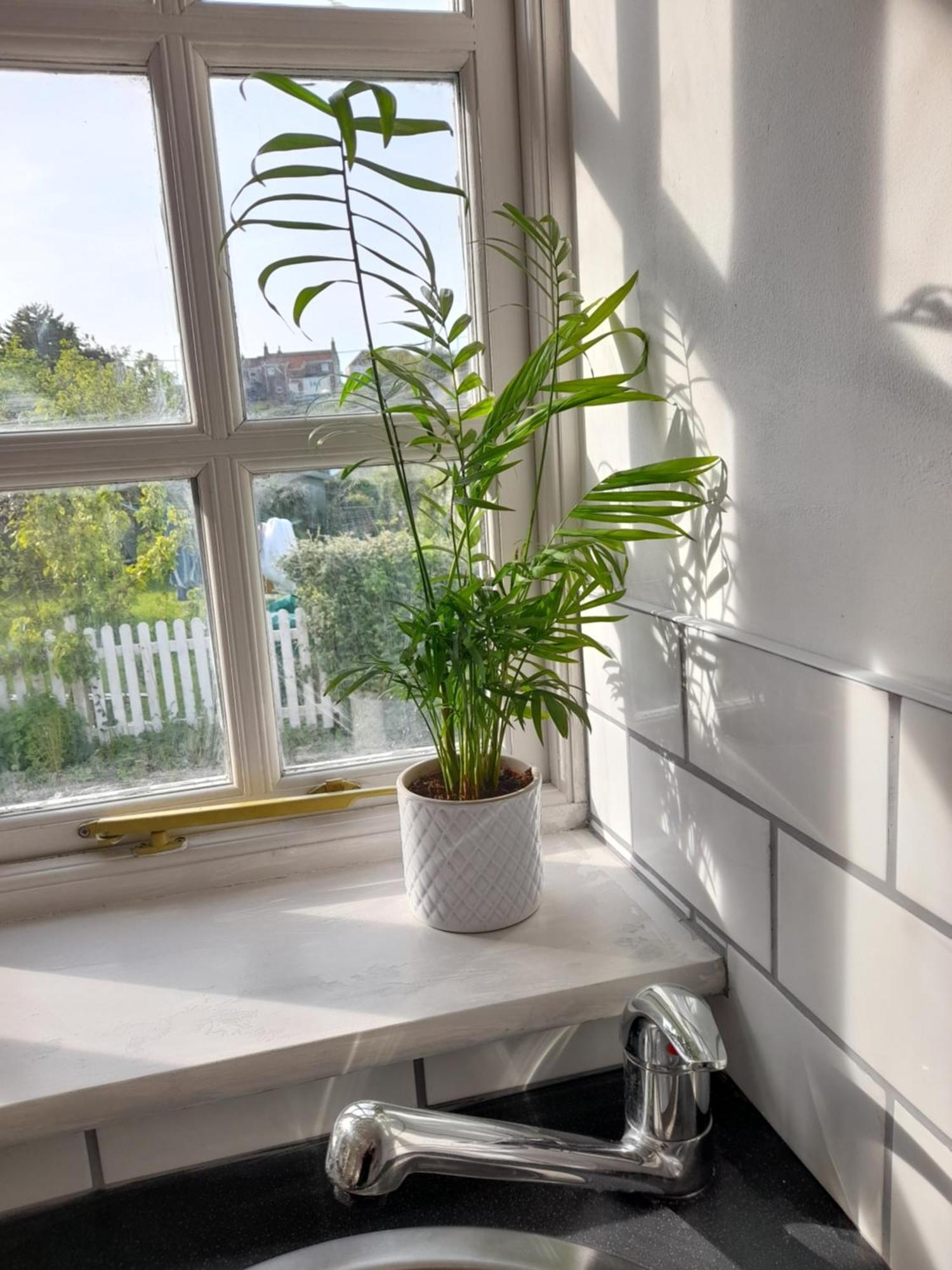 My Little Studio Farmborough Екстер'єр фото